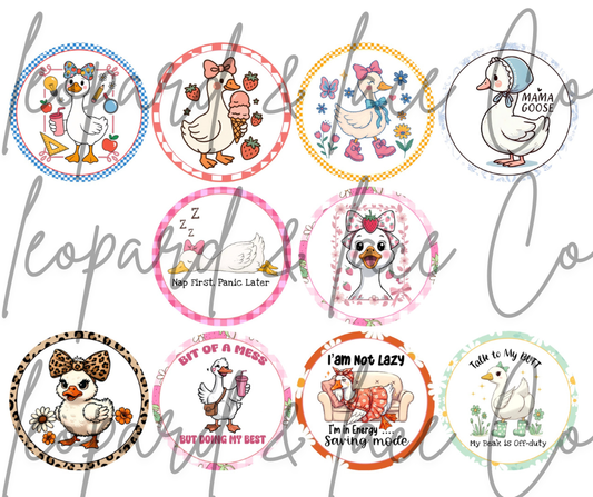 A Bit of a Mess Cardstock (2026)