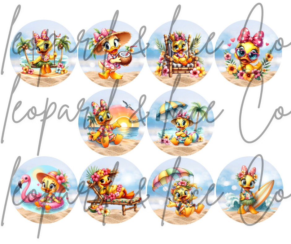 Beachy Duck CARSTOCK (2026)